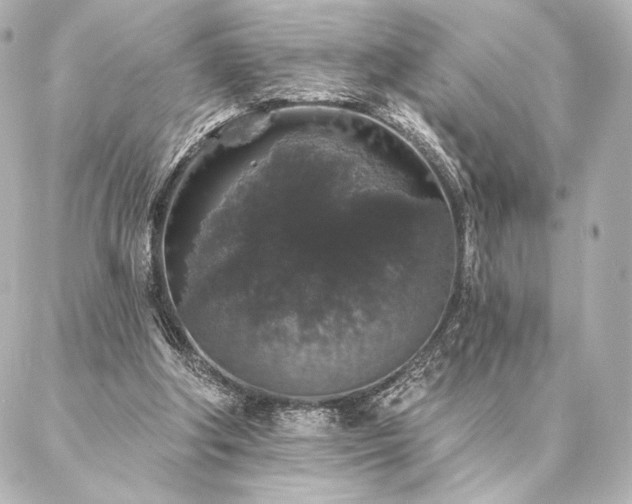 X0000086950202200704231434