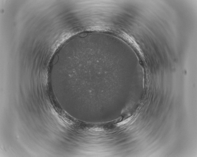 X0000086950204200704231434