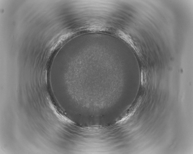 X0000086950205200704231434