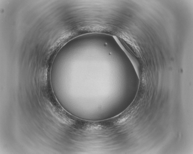 X0000086950206200704231434