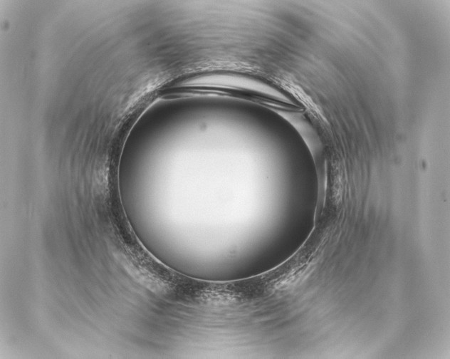 X0000086950207200704231434