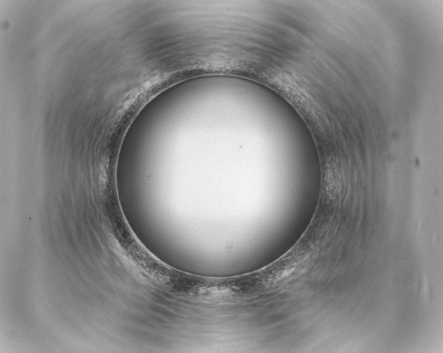 X0000086950208200704231434