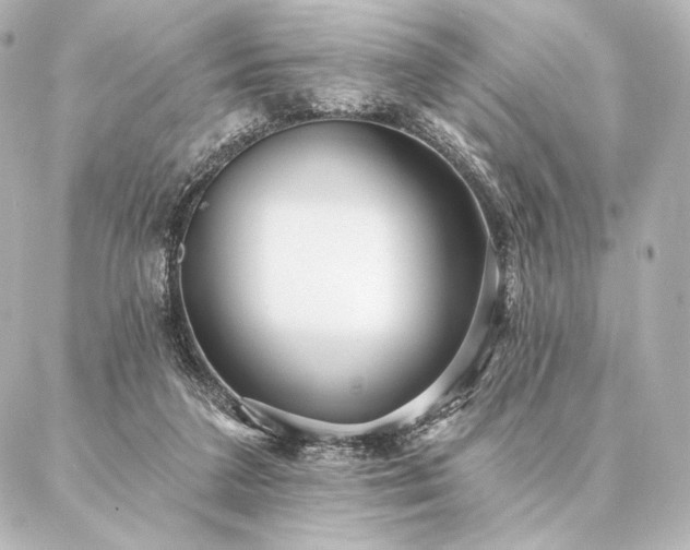 X0000086950211200704231434