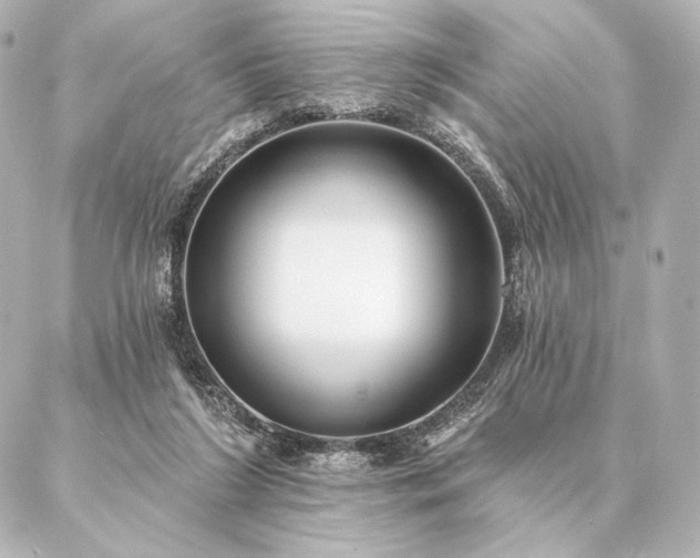 X0000086950212200704231434