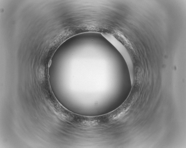 X0000086950213200704231434