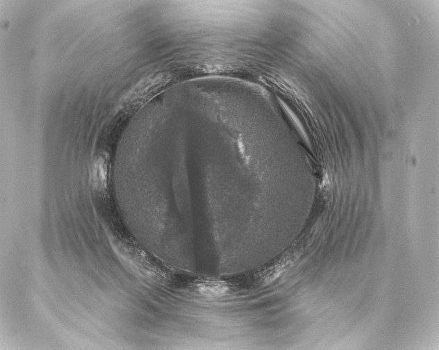 X0000086950214200704231434