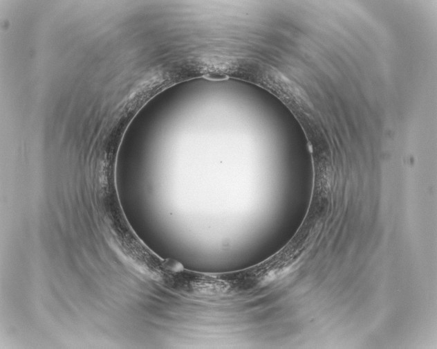 X0000086950215200704231434