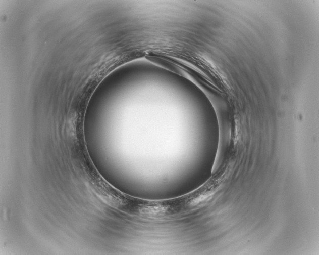 X0000086950217200704231434