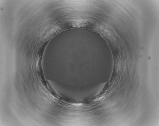 X0000086950219200704231433