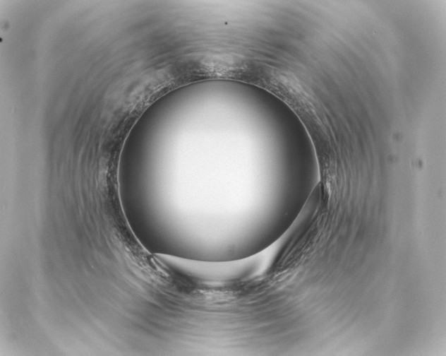 X0000086950221200704231433