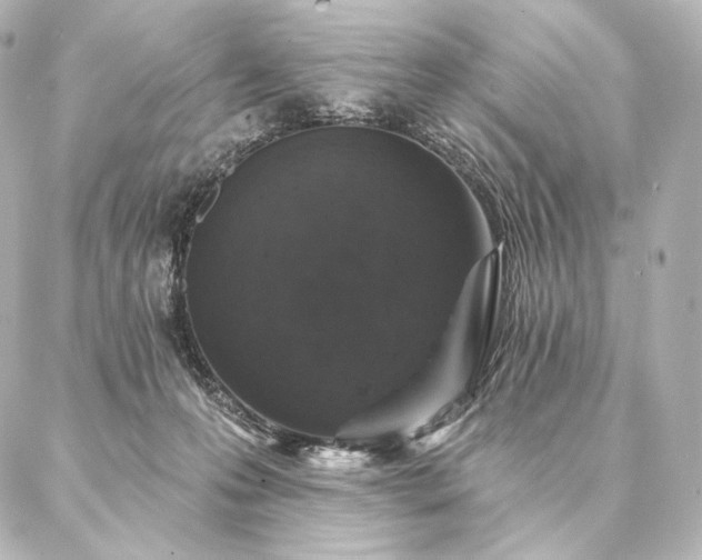 X0000086950223200704231433