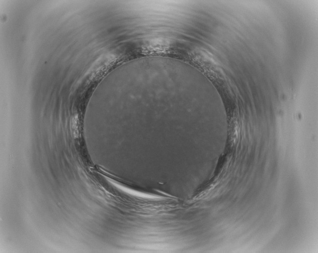 X0000086950224200704231433