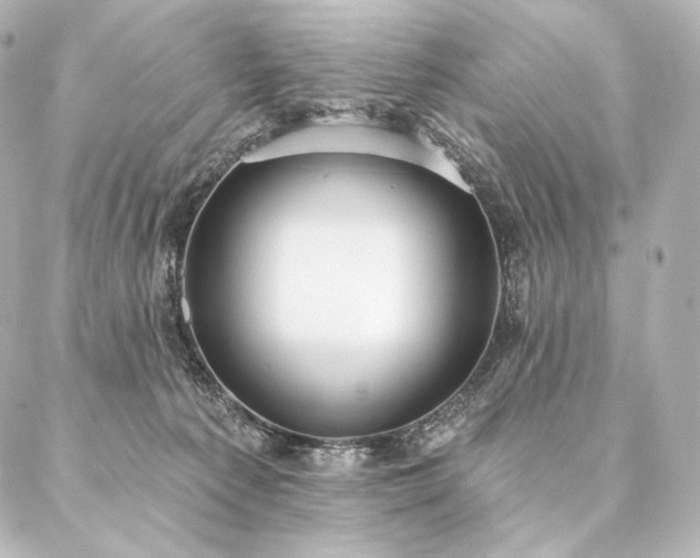 X0000086950225200704231433