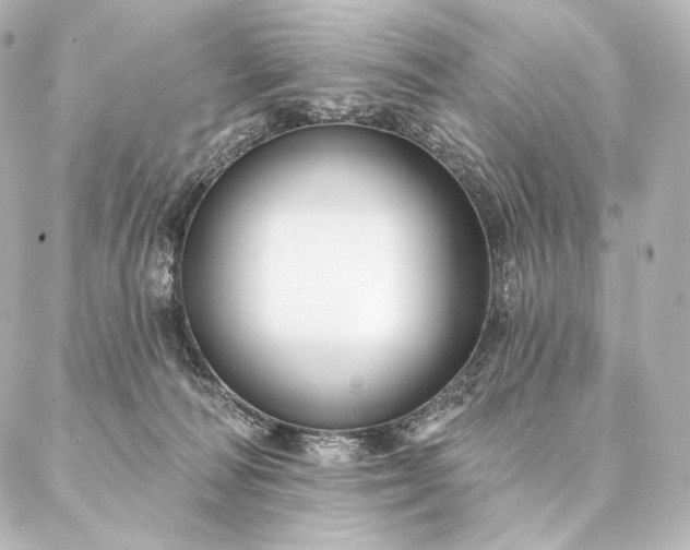 X0000086950226200704231433