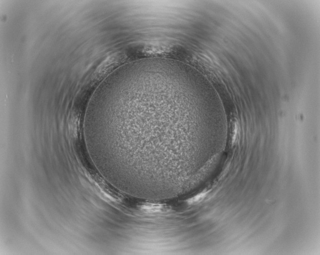 X0000086950227200704231433