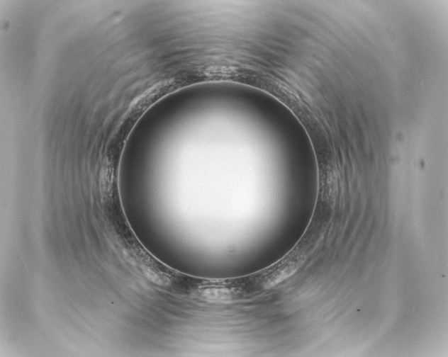 X0000086950228200704231433