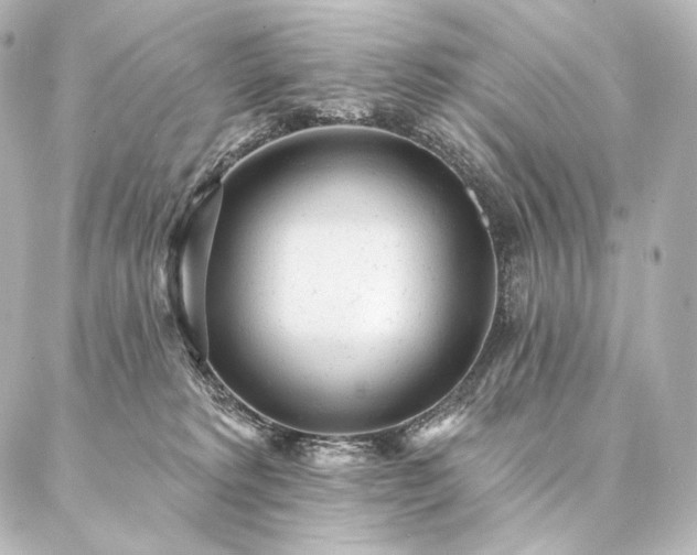 X0000086950229200704231433