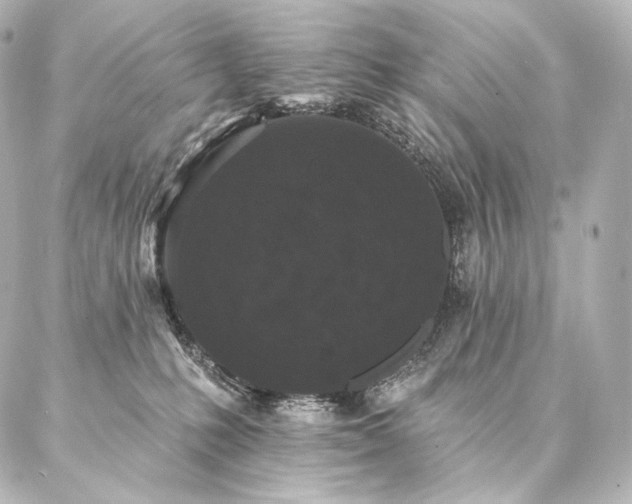 X0000086950231200704231433