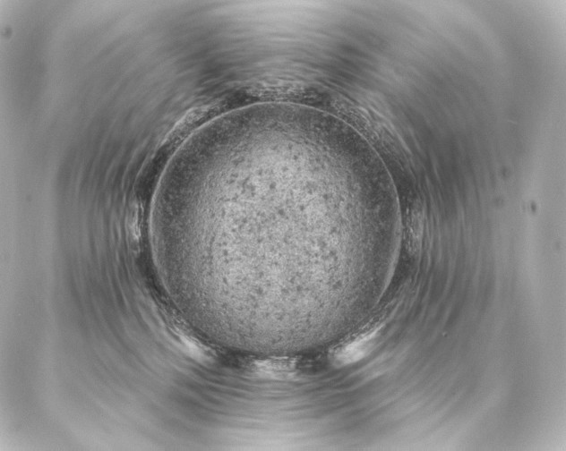 X0000086950232200704231433