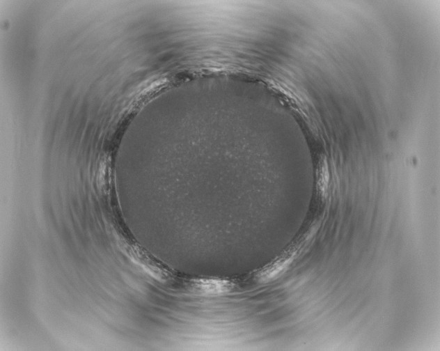 X0000086950233200704231433