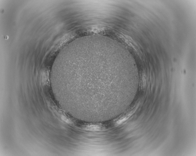 X0000086950236200704231433