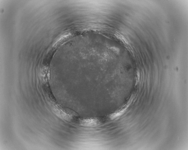 X0000086950237200704231433