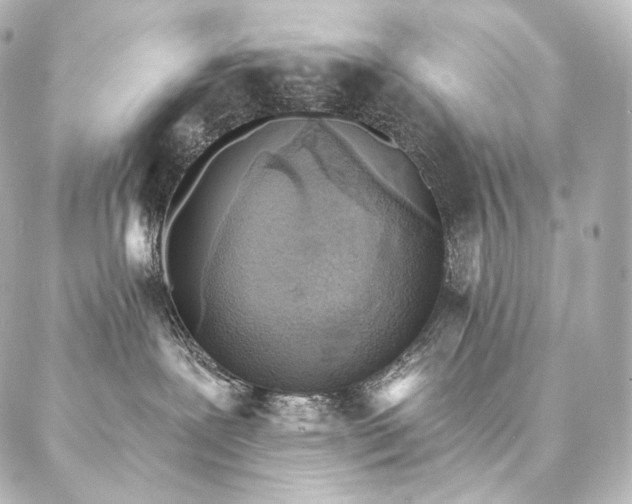 X0000086950239200704231433