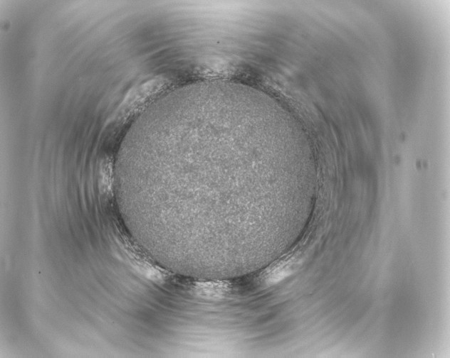 X0000086950240200704231433