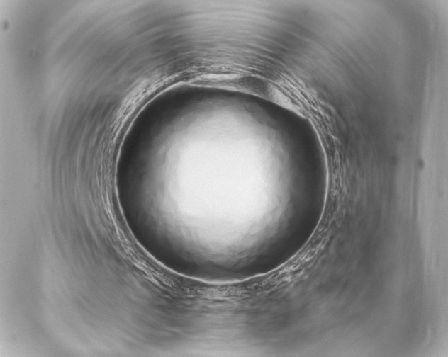 X0000086950241200704231432