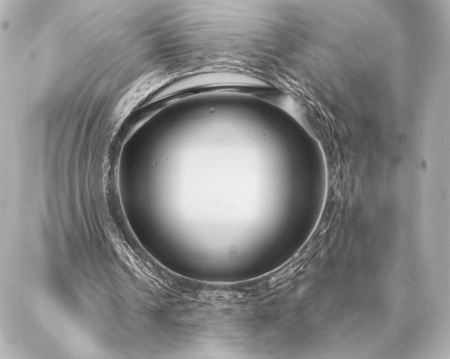 X0000086950242200704231432