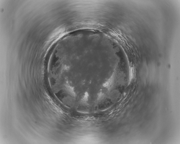 X0000086950243200704231432