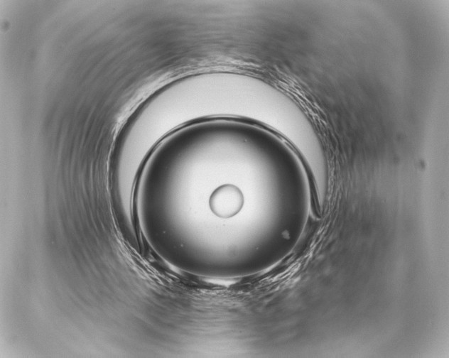 X0000086950244200704231432