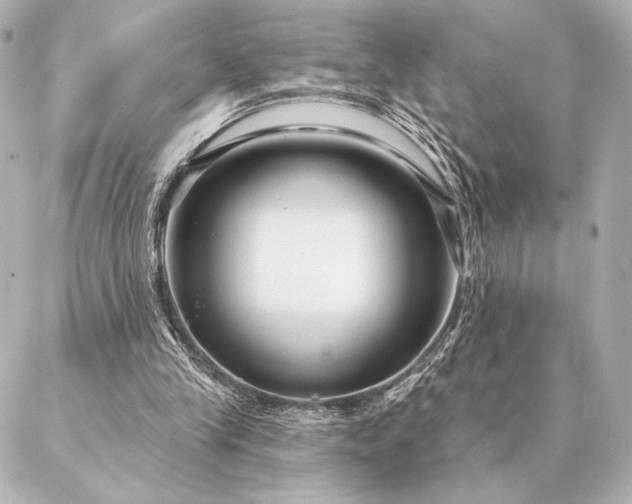 X0000086950245200704231432