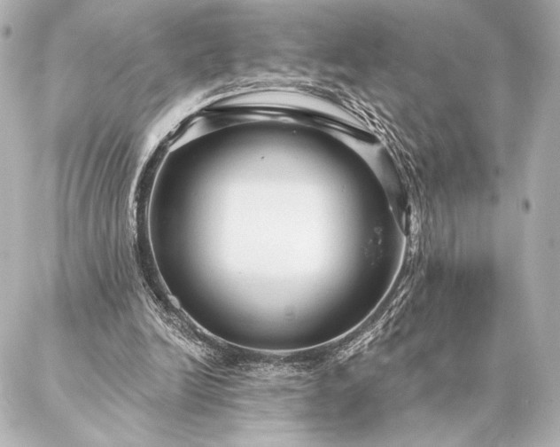 X0000086950246200704231432