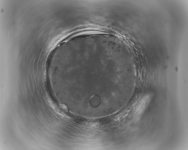 X0000086950247200704231432