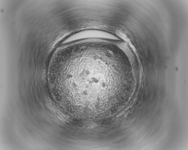 X0000086950249200704231432