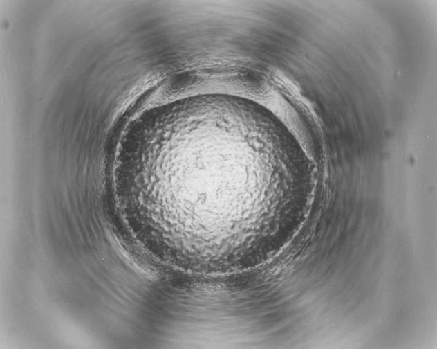 X0000086950250200704231433