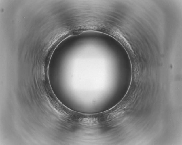 X0000086950251200704231433