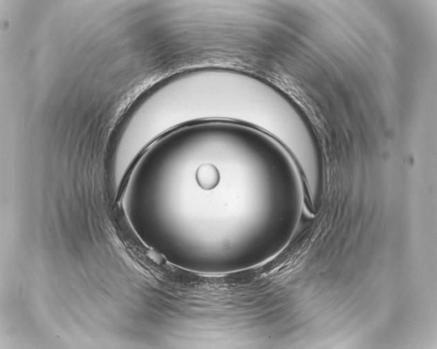 X0000086950252200704231433