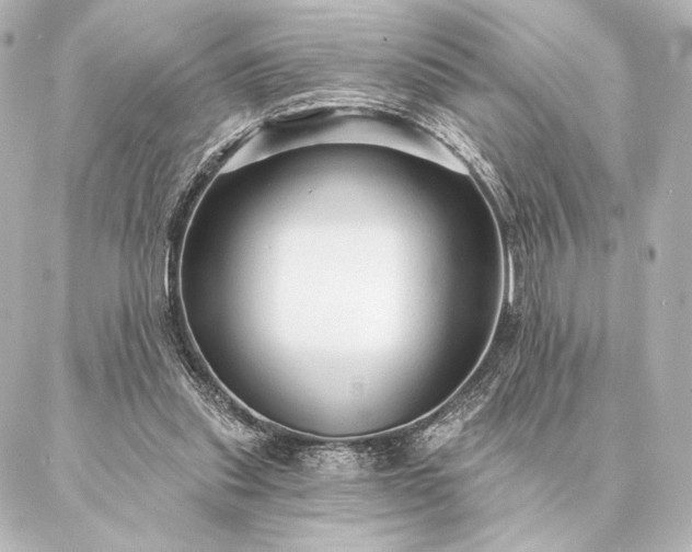 X0000086950253200704231433