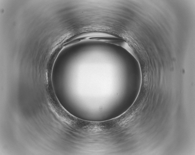 X0000086950254200704231433