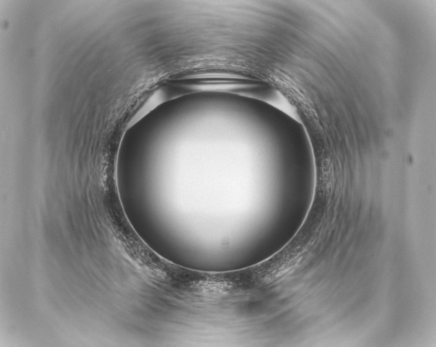 X0000086950255200704231433