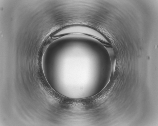 X0000086950256200704231433