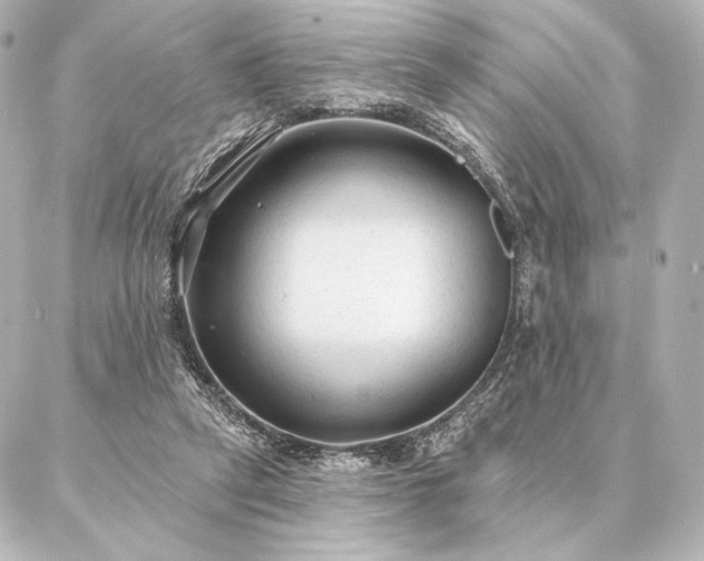 X0000086950257200704231433