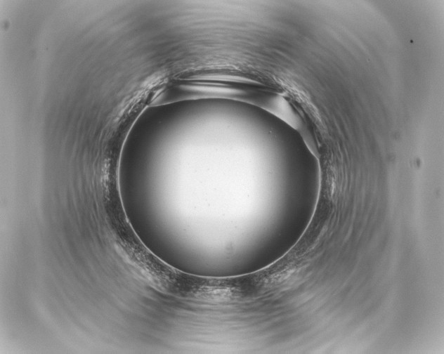 X0000086950260200704231433