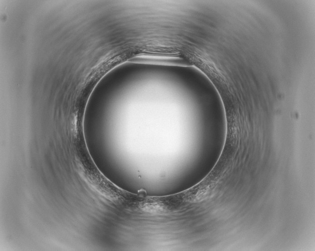 X0000086950262200704231433