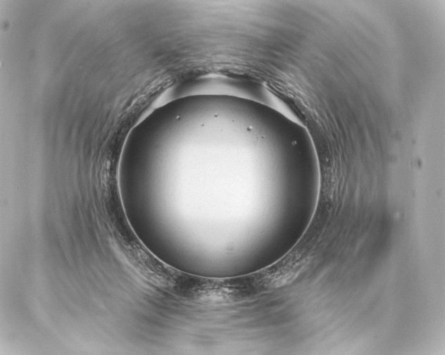 X0000086950263200704231433