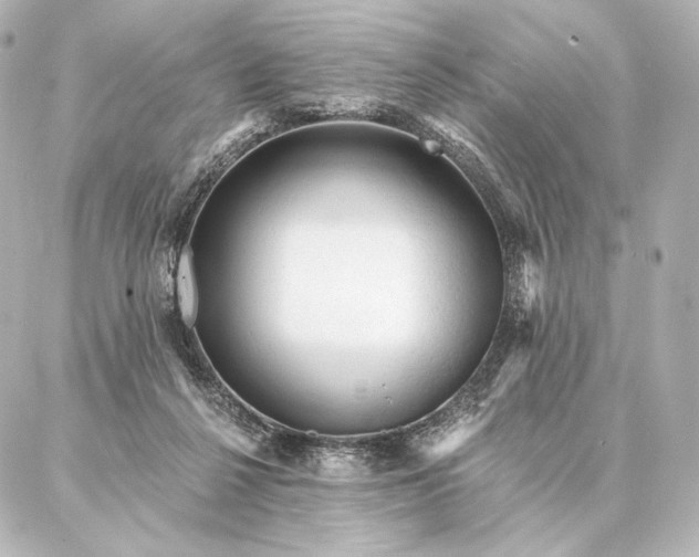 X0000086950264200704231433