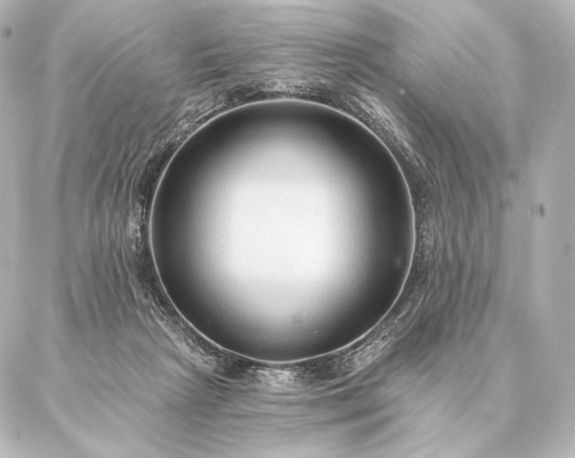 X0000086950265200704231433