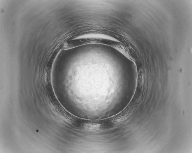 X0000086950266200704231433